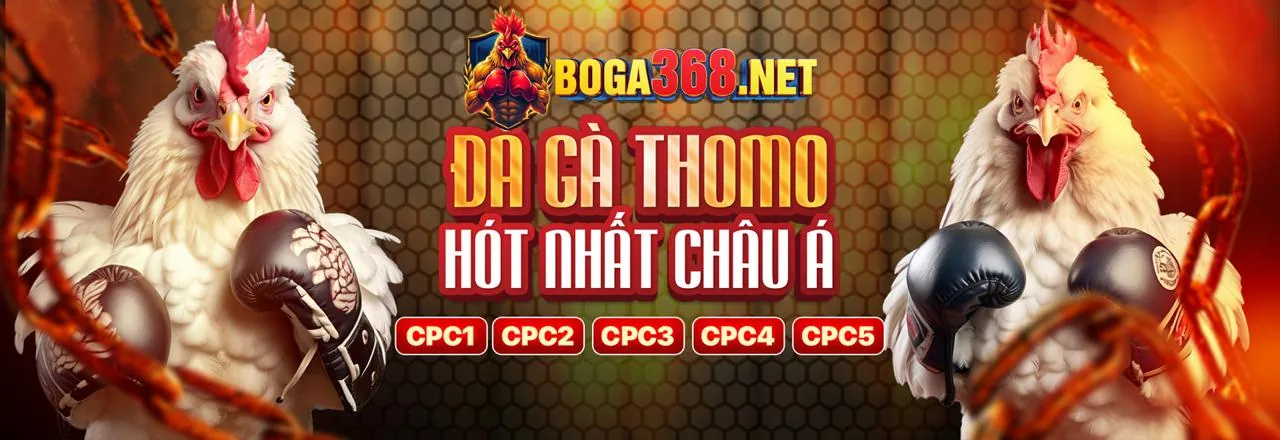 Sân chơi đá gà trực tuyến hi8 chính thức 2026 với ưu đãi hấp dẫn
